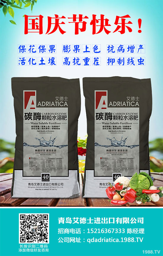 香蔥連作危害大，到底該如何解決？香蔥連作障礙及高產(chǎn)管理技術(shù)！