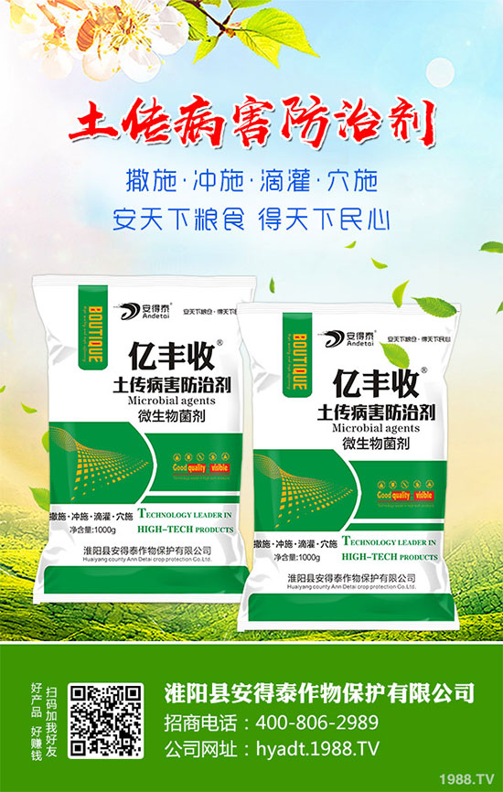 ���}���Ĺ�Ч�c���������}���I�B(y��ng)�r(ji��)ֵ��