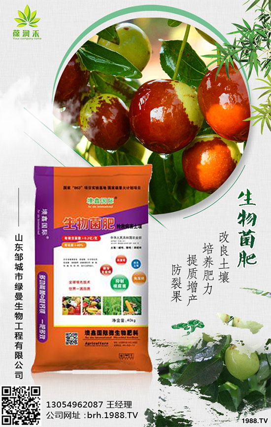 大棚西紅柿怎么栽培？大棚西紅柿高產(chǎn)栽培！