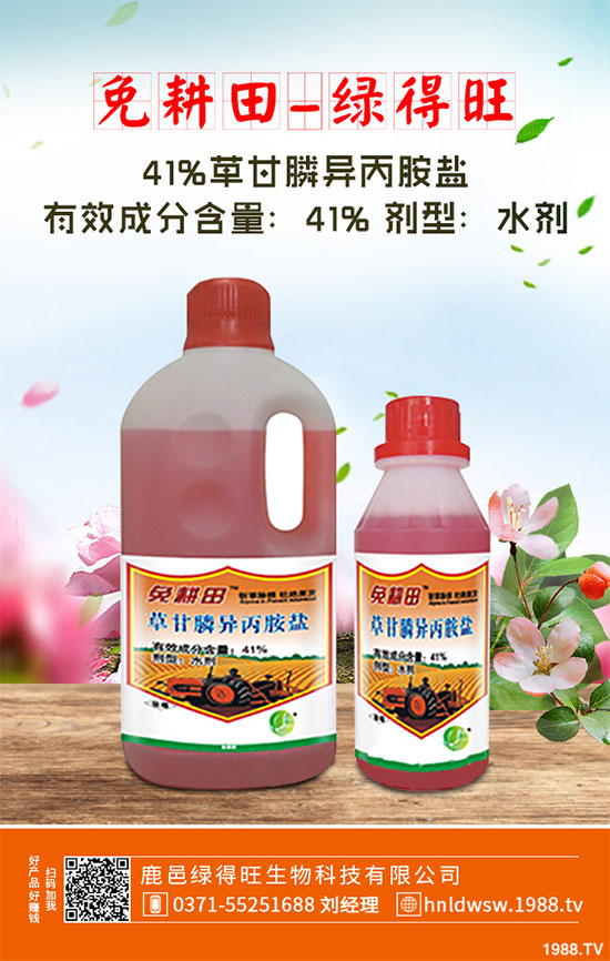 小白菜遇到白斑病該怎么辦?白菜白斑病防治措施