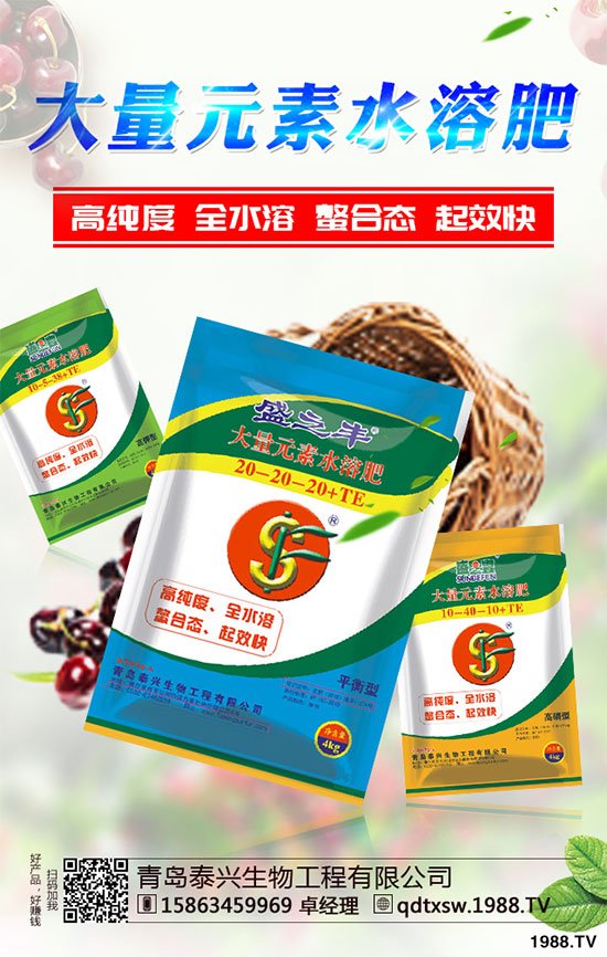 白菜根腐病有哪些危害癥狀？該如何防治？白菜根腫病的識(shí)別與防治！