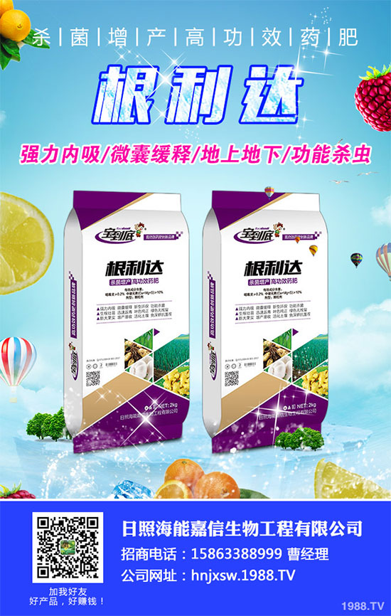 白菜根腐病有哪些危害癥狀？該如何防治？白菜根腫病的識(shí)別與防治！