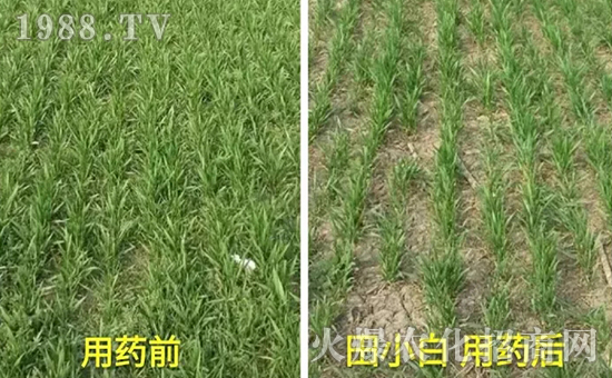 ��(ji��)��(ji��)����η�������ʲôˎ����ô��ˎЧ������