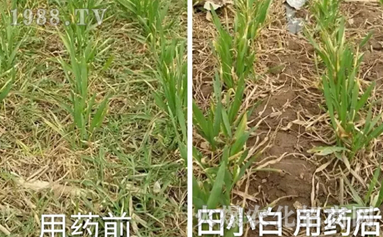 ��(ji��)��(ji��)����η�������ʲôˎ����ô��ˎЧ������