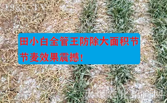 ��(ji��)��(ji��)����η�������ʲôˎ����ô��ˎЧ������