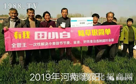 39��(ji��)��(ji��)����η�������ʲôˎ����ô��ˎЧ������