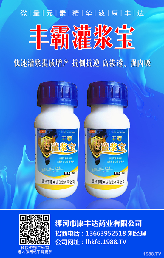 白菜黑斑病有哪些危害癥狀？白菜黑斑病的發(fā)生與防治