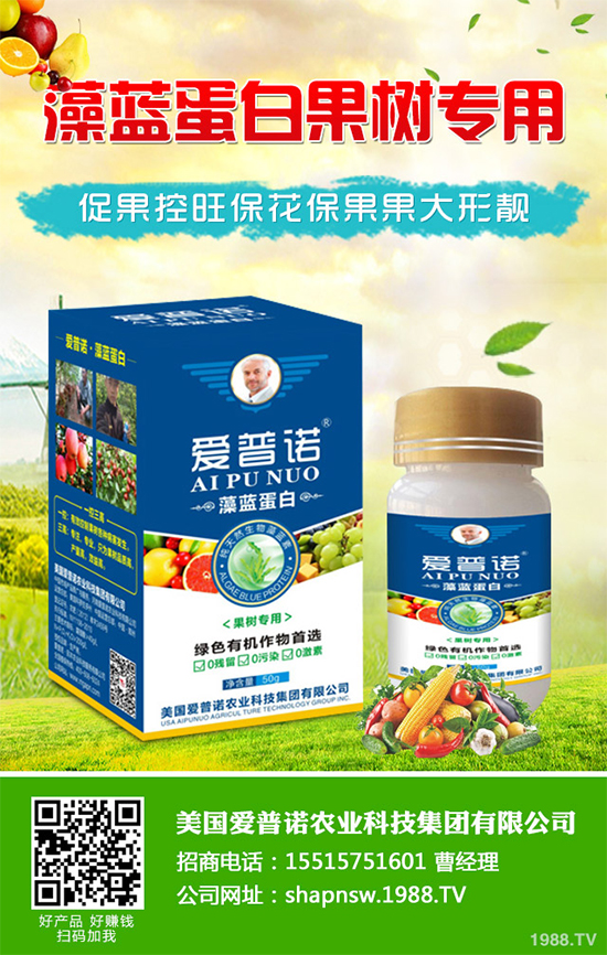 白菜黑斑病有哪些危害癥狀？白菜黑斑病的發(fā)生與防治