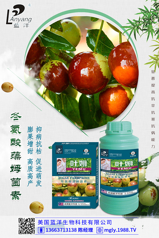 白菜軟腐病是如何引起的？有哪些危害？白菜軟腐病的發(fā)生與防治