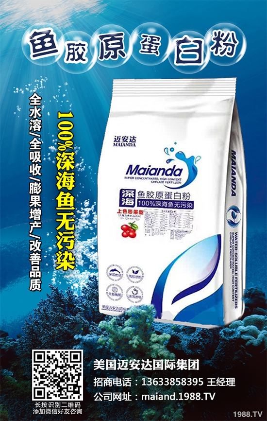 白菜軟腐病是如何引起的？有哪些危害？白菜軟腐病的發(fā)生與防治