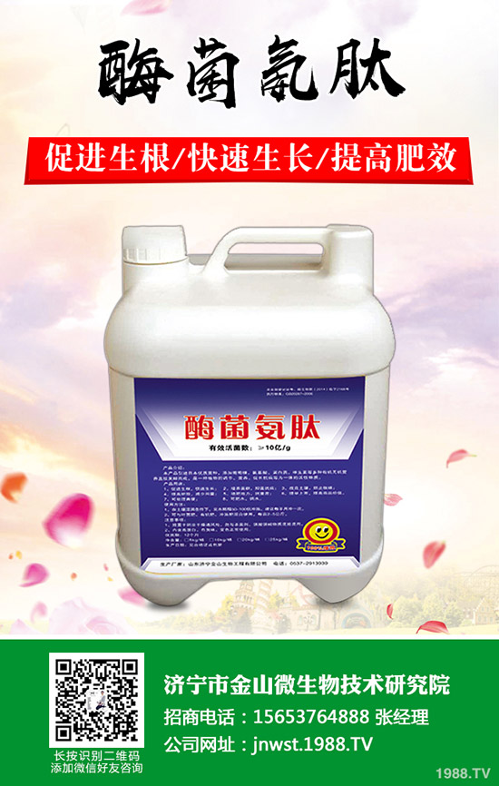 �춬���ӷNֲ���춬�߮a(ch��n)�������g(sh��)��