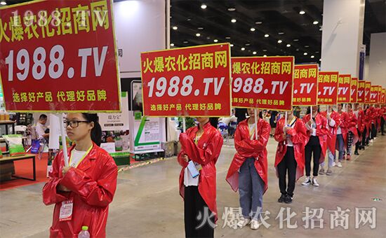 ǧ�̅R������Ʒ�Ƽ�|2019�����r(n��ng)����(hu��)ʢ���_Ļ��