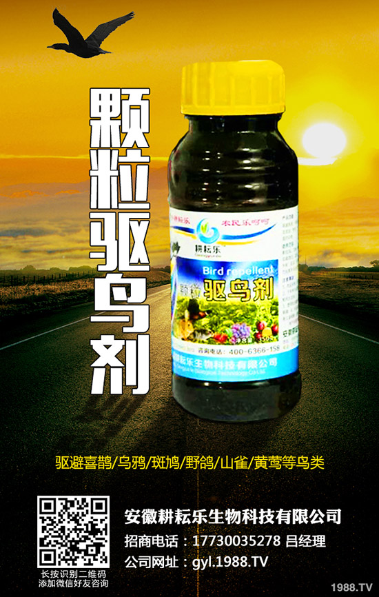 氯氟吡氧乙酸異辛酯適用范圍有哪些？作用特點及使用注意事項知道么？