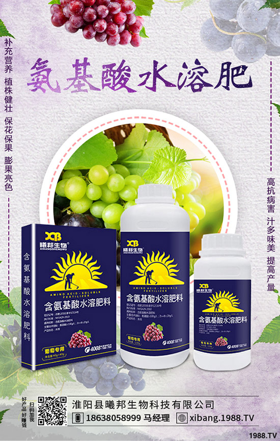 小西紅柿如何種植,小西紅柿的高產管理技巧