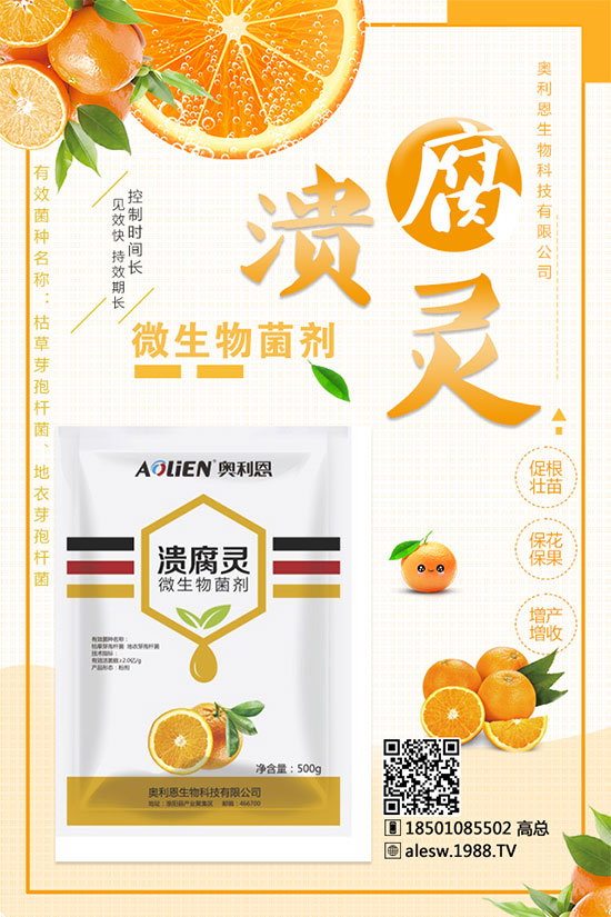 ����ʲô�r��N������Nֲ���g(sh��)���Nֲ�l��