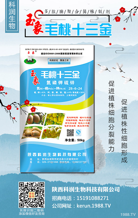 2019-10-30最新二銨價格行情動態(tài)評述,多少錢一噸?