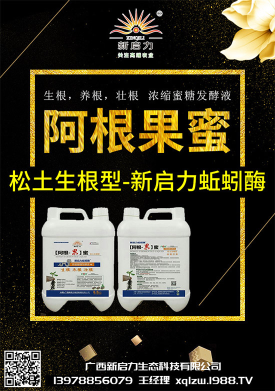 甘藍(lán)黑脛病有哪些危害？秋甘藍(lán)病害的發(fā)生與防治技巧