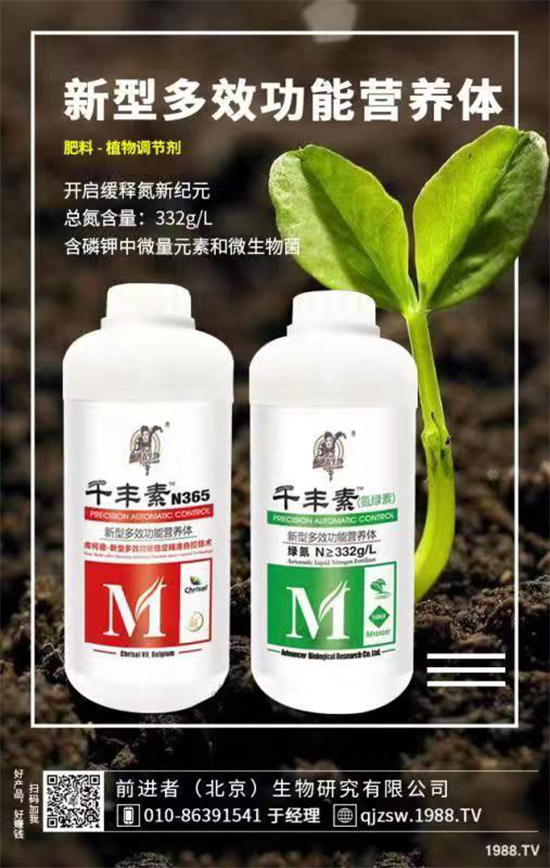 花生爛果怎么回事？花生爛果的防治措施！