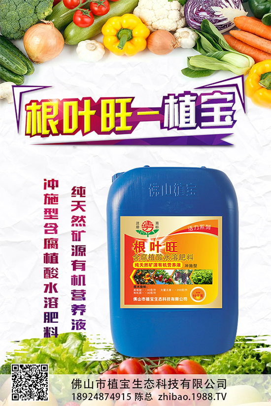 越冬茄子該如何施肥？冬茬茄子施肥技術(shù)要點