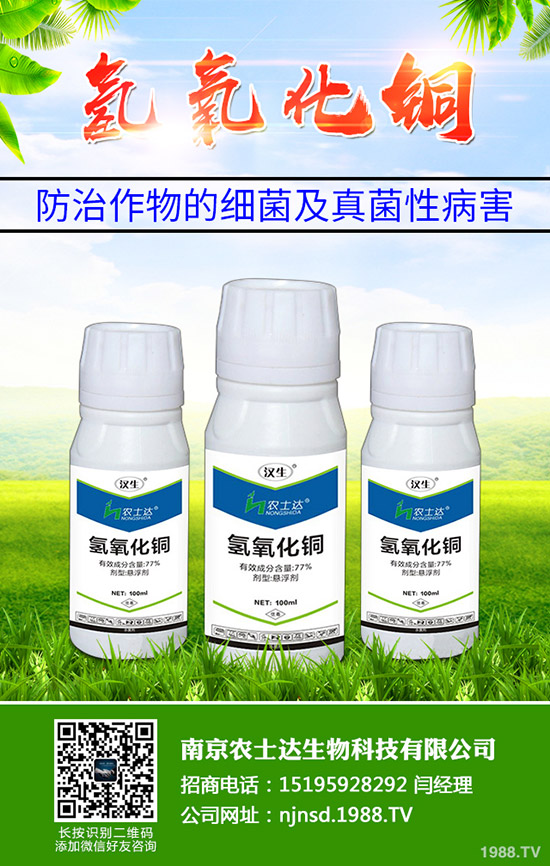 種植高產(chǎn)黑苦瓜應(yīng)掌握哪些方法？黑苦瓜的高產(chǎn)管理