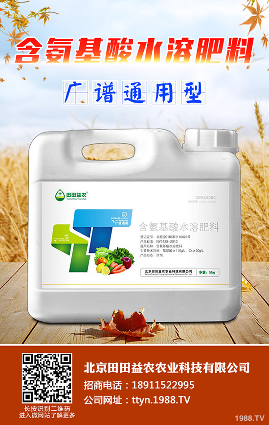 種植菠蘿蜜要注意什么,菠蘿蜜的種植注意事