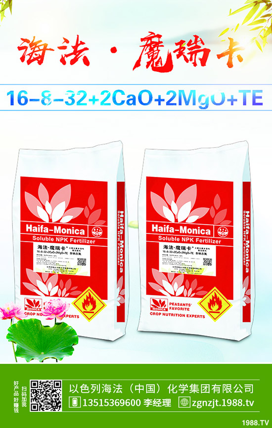 2019年11月中旬磷酸二銨價(jià)格行情走勢(shì)綜合分析!