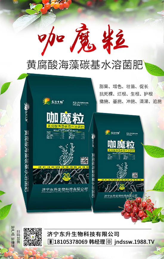 大棚草莓旺長的原因，大棚草莓旺長解決措施