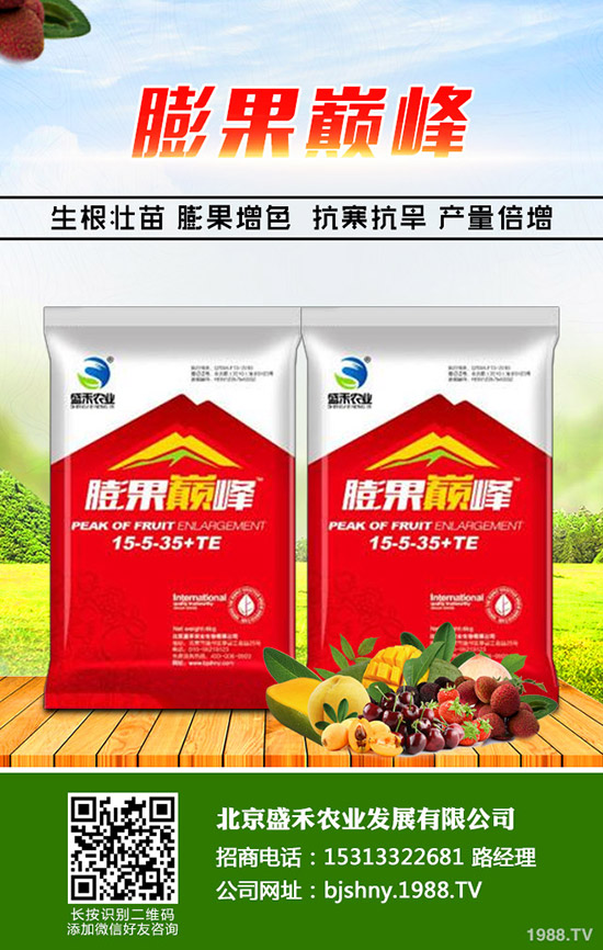 冬季大棚番茄空心果是什么原因，怎樣避免番茄空心果發(fā)生？