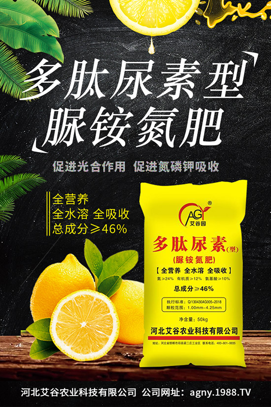 山藥種植時(shí)間，山藥種植技術(shù)與栽培管理