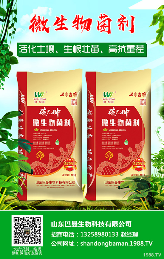     復(fù)合肥行業(yè)拓開新市場！2019年11月下旬復(fù)合肥行情走勢分析！