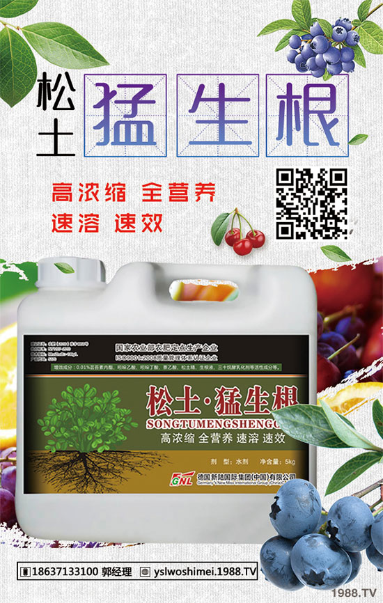 ��������Щ��Ч�����ã����ӵ�ʳ�ý�����