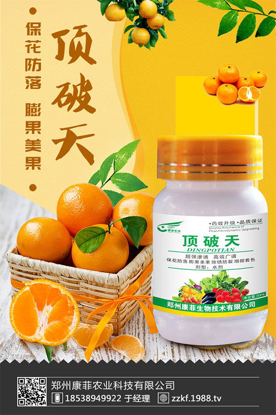 ���ٞ�ʲô���S�~�������S�~�Ľ�Q��ʩ��