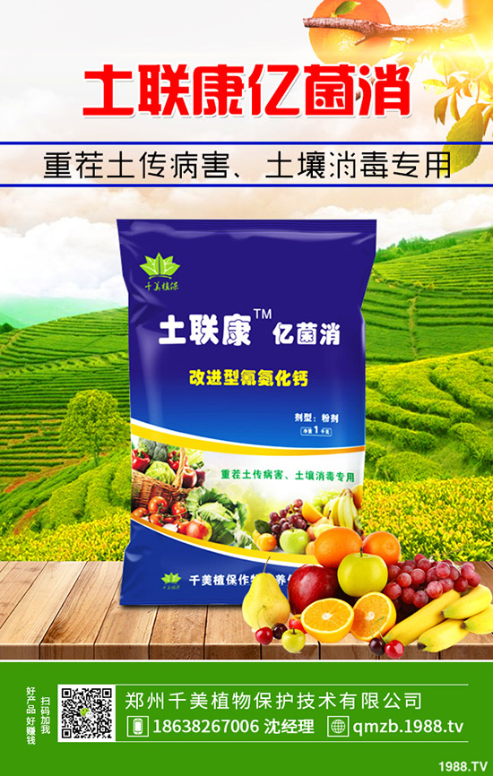     尿素跌出今年價(jià)！近期最新尿素行情綜合分析2019-11-4