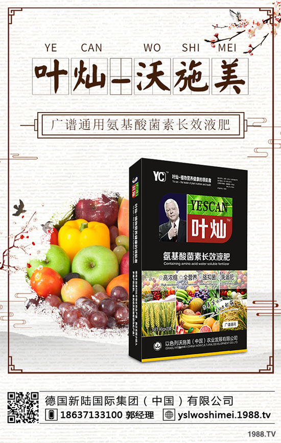 生菜栽培季節(jié)是什么時候？生菜高產(chǎn)技術有哪些？