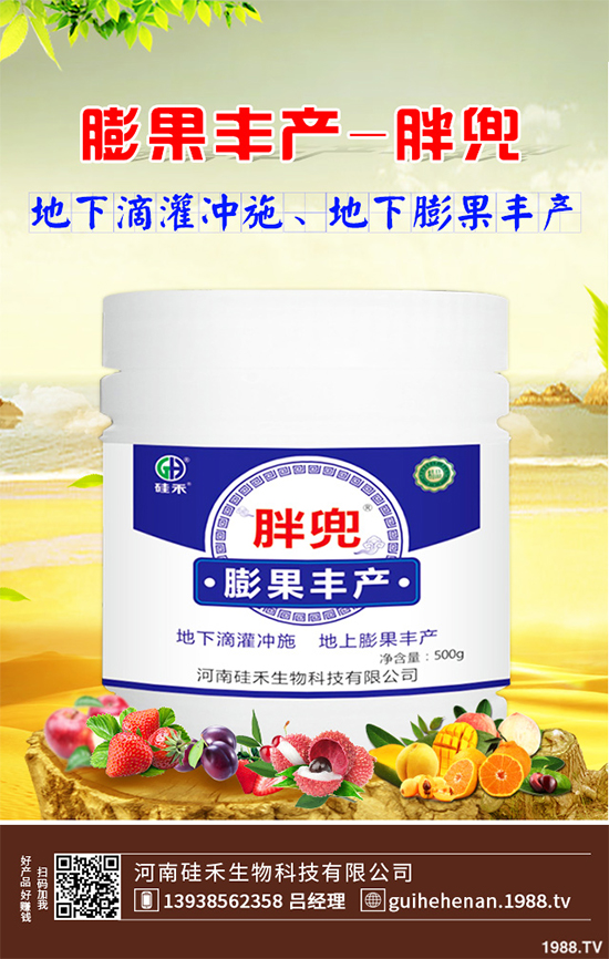 大棚西芹你知道該如何種植嗎?大棚西芹種植管理技術(shù)