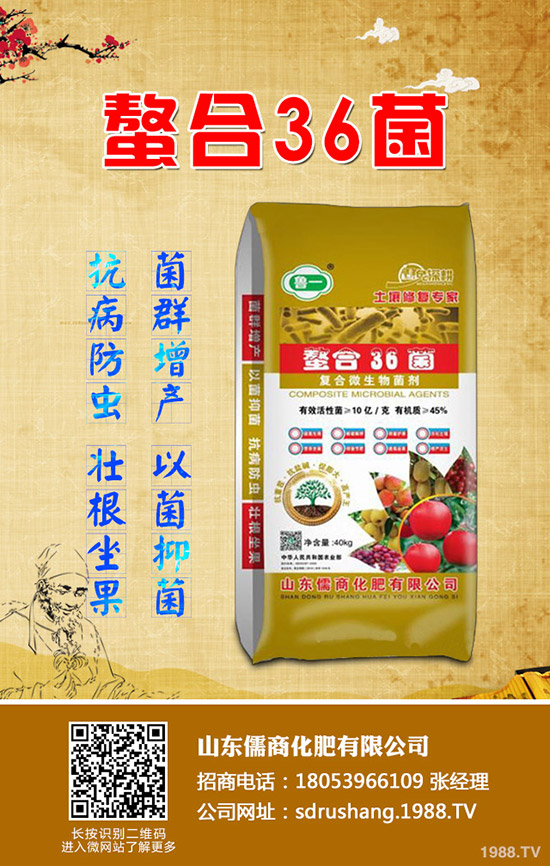     二銨市場(chǎng)行情低迷！2019年11月7日今日磷酸二銨價(jià)格早報(bào)