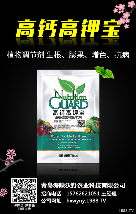 С�����s��ʲô�r(sh��)����θ�����С���s�ݽ�Q������