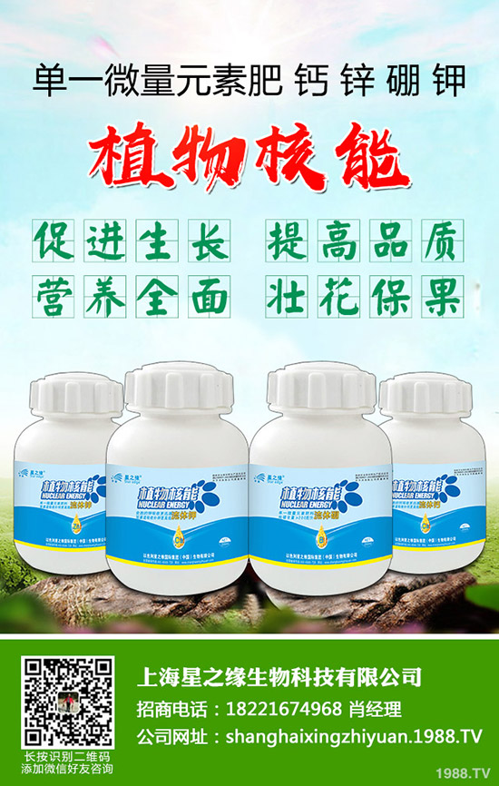 ѿ�����ӷNֲ��ѿ�˷Nֲ���g(sh��)���˽������