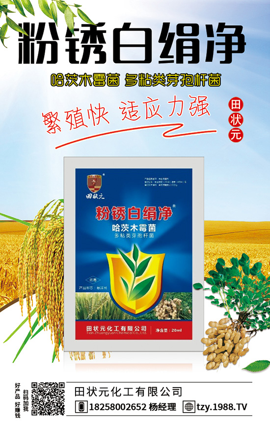 玉米殺蟲劑防治蟲害措施 玉米殺蟲劑注意要點(diǎn)