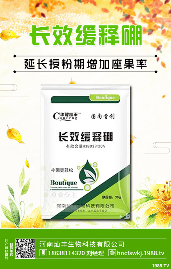 防風種植技術有哪些？防風的田間管理