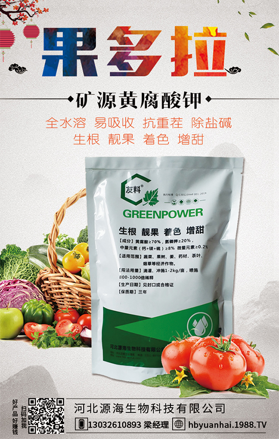 ������Ճr������Xһ����2020�����Nֲǰ�������