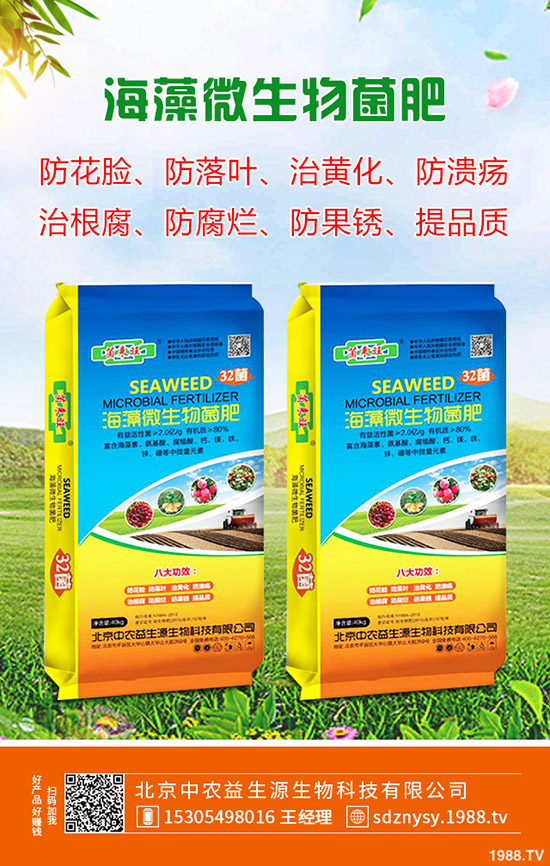     2020年春節(jié)鮮姜價格預計“暴漲”！多少錢一斤？生姜漲價原因分析！