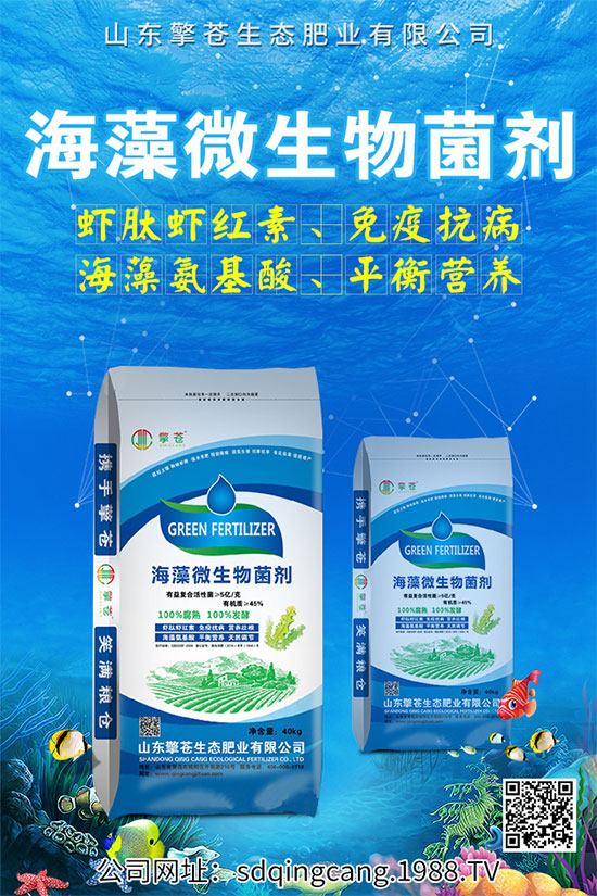 ������˥ʲô�Y����������˥�ķ��δ�ʩ��