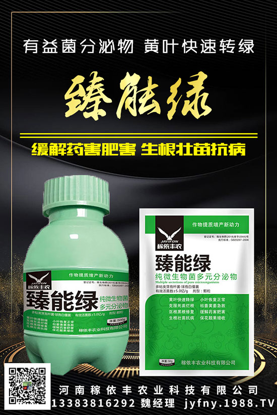 ��N�S�ʺܳ�Ҋ��Ԫ�غ�������������Ҫ֪���c�M(j��n)��������