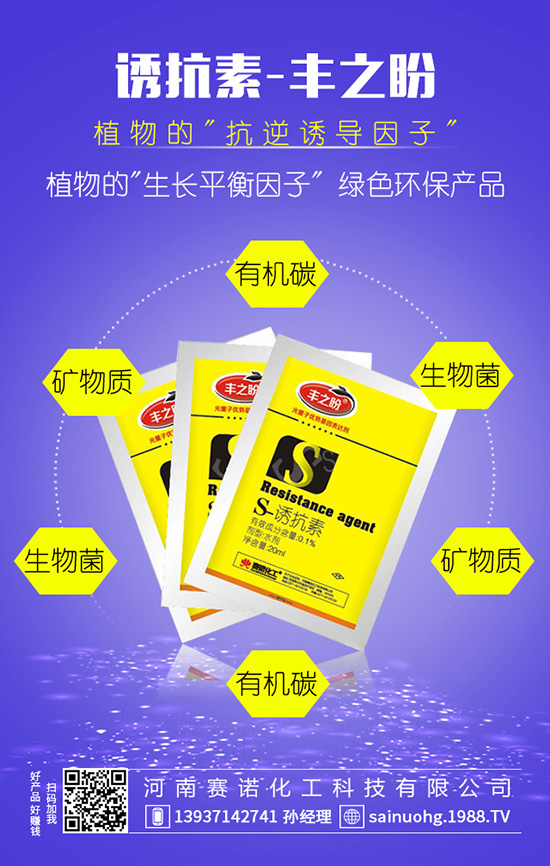 �׷ʡ����p���b�e����e�Ϯ�