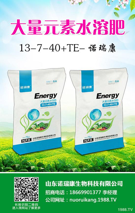     ���ֵ؅^(q��)��������С�������{��2019��12��16���������؃r�����