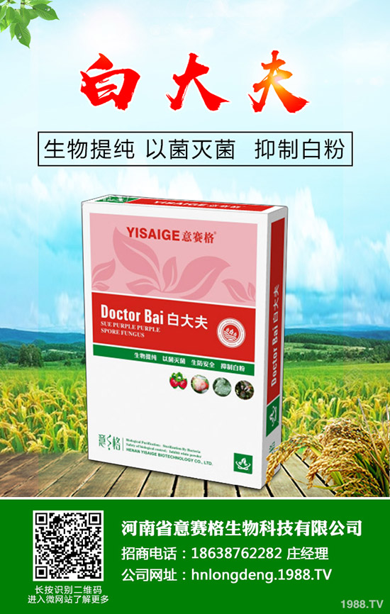 ���Ѷ���ʲô�r���^�ã����Ѷ�����ʲô������