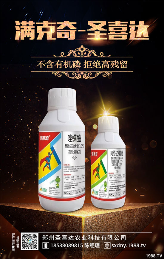 �������ך��x���Ј�����