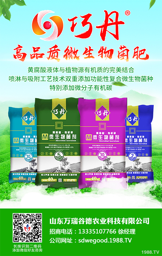 ؕ������Щ���湦Ч��ؕ�ջ��Ĺ�Ч�����c����