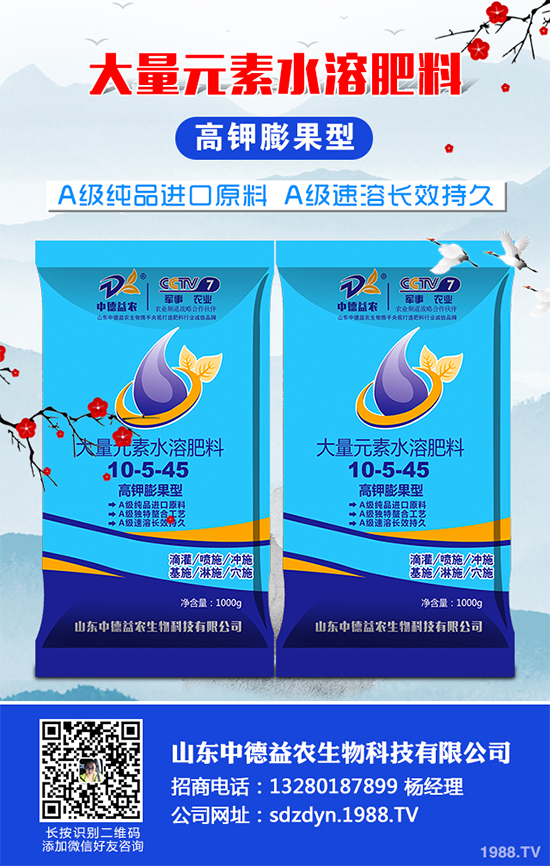 貢菊、杭白菊和胎菊有哪些不同之處？產(chǎn)地在哪？快來看看吧！